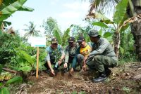 Wujudkan Kepedulian Lingkungan, PLN Gelar Aksi Tanam Ribuan Pohon di Banyuwangi dan Sumenep