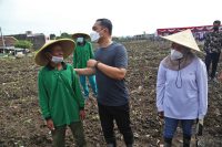 Harga Meroket, Pemkot Surabaya Manfaatkan Lahan BTKD untuk Tanam Cabai