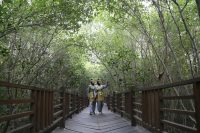 Pasar Tani hingga Mangrove Eco Run Siap Meriahkan Peringatan HUT Pertama KRM Surabaya