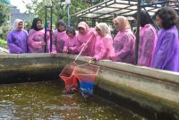 Gelar Forikan, Ketua TP PKK Rini Indriyani Ajak Anak PAUD Surabaya Gemar Makan Ikan