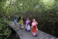 Surabaya Peringati HUT ke-1 Kebun Raya Mangrove dengan Berbagai Kegiatan Lingkungan dan Edukasi
