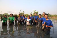 Penanaman 3000 Bibit Mangrove Tandai Peringatan HUT ke-1 KRM Surabaya