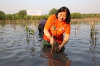 Pemkot Surabaya dan NGO Jalin Sinergi untuk Pelestarian dan Konservasi Mangrove