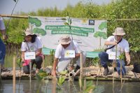 Peringati Hari Mangrove Sedunia, PLN Tanam 1.000 Mangrove Bebas Plastik di Surabaya