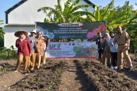 Pemkot Surabaya Gelar Penanaman Cabai dan Bawang Merah Serentak, Libatkan 60 Poktan Urban Farming