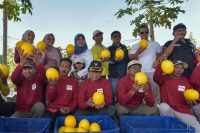 Pemkot Surabaya bersama Kelompok Tani Sendang Biru Made Panen Raya 2 Ton Golden Melon