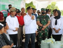 Bupati Bojonegoro Pimpin Panen Raya Padi Serentak