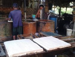 Harga Kedelai Naik, Pengusaha Tahu di Bojonegoro Mengeluh