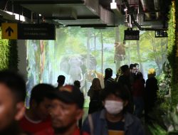 72 Ribu Lebih Wisatawan Padati KBS Sejak Lebaran, Diprediksi Terus Bertambah