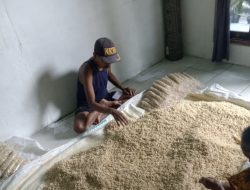 Harga Kedelai di Bojonegoro Melonjak, Penjual Tempe Kedungadem Putar Otak Cari Solusi