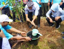 Tanam Alpukat, Bupati Harapkan dapat Memberikan Manfaat untuk Masyarakat