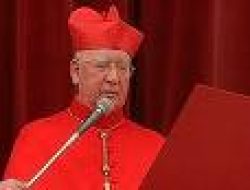Habemus Papam
