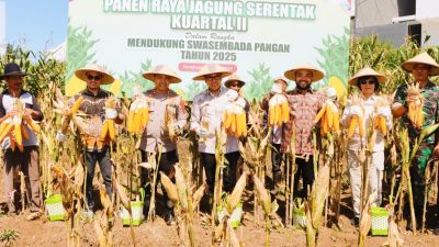 Kapolres Batu Bersama Forkopimda Panen Raya Jagung Serentak Kuartal II