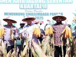 Dukung Swasembada Pangan, Forkopimda Kota Batu Panen Jagung Serentak di Desa Oro-Oro Ombo