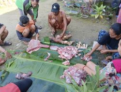 Makna Mendalam Ibadah Kurban dalam Kehidupan Seorang Muslim