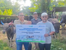 Pelindo Petikemas Siapkan Juru Sembelih Halal Jelang Iduladha Tahun 2025