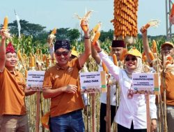 Mbak Dewi Hadiri Grand Launching Benih Jagung Hibrida Terbaru “NK Perkasa Sakti”