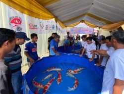 Antusias Penghobi Koi Sukseskan Sistim Azukari AKF 