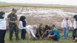 Kodim Lamongan Peduli Lingkungan Lewat Aksi Bersih dan Penghijauan