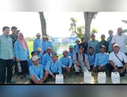 Penyuluhan Hama, Babinsa Sugio dan Dinas Pertanian Edukasi Petani Gondanglor
