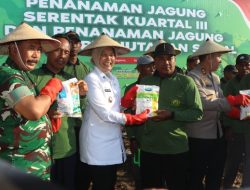 Bojonegoro Berpartisipasi dalam Program Swasembada Pangan, Gelar Penanaman Jagung Serentak