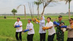 Wakil Bupati Bojonegoro Lepas 25 Burung Hantu di Desa Nguken untuk Kendalikan Hama Tikus secara Ramah Lingkungan