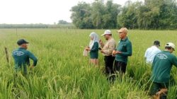 Dapatkan Pembinaan dari Bank Indonesia Wilayah Jatim, Kabupaten Jombang Dapatkan Tiga Klaster Komuditas
