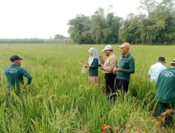 Dapatkan Pembinaan dari Bank Indonesia Wilayah Jatim, Kabupaten Jombang Dapatkan Tiga Klaster Komuditas