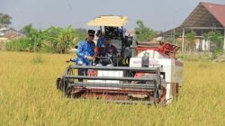 Kakanwil Ditjenpas Jawa Timur Kunjungi Langsung Panen Raya Program Asimilasi Lapas Kelas IIB Jombang