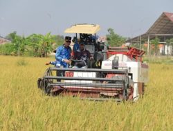 Kakanwil Ditjenpas Jawa Timur Kunjungi Langsung Panen Raya Program Sarana Asimilasi dan Edukasi