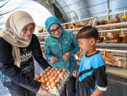Peringati HAN 2025, Pemkot Surabaya Ajak Anak-anak Belajar di Mini Agrowisata
