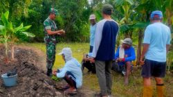 Babinsa Jajaran Kodim Lamongan Dukung Petani Wujudkan Swasembada Pangan