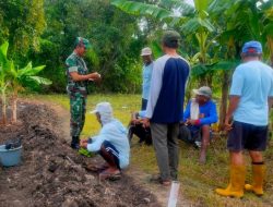Babinsa Jajaran Kodim Lamongan Dukung Petani Wujudkan Swasembada Pangan