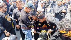 Bantengan Nuswantara Ke-17, Dari Warisan Budaya Kini Menjadi Daya Tarik Wisata Mancanegara
