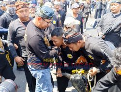 Bantengan Nuswantara Ke-17, Dari Warisan Budaya Kini Menjadi Daya Tarik Wisata Mancanegara
