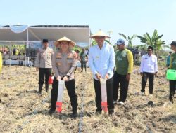 Bupati Setyo Wahono Hadiri Penanaman Jagung Serentak Bersama Santri se-Jawa Timur