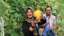 Wabup Bojonegoro Ajak Petani Tingkatkan Produksi dan Inovasi Pangan Sehat