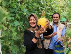 Wabup Bojonegoro Ajak Petani Tingkatkan Produksi dan Inovasi Pangan Sehat