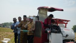 Pemkab Jombang Kolaborasi Bapak Asuh AFCO Group, Petani Hemat Biaya dengan Mikroba Cair Organik