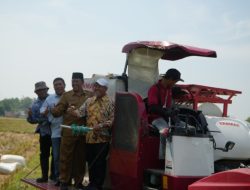 Pemkab Jombang Kolaborasi Bapak Asuh AFCO Group, Petani Hemat Biaya dengan Mikroba Cair Organik