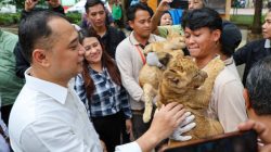 Kembangkan KBS, Wali Kota Eri Utamakan Inovasi dan Wahana Baru untuk Tarik Minat Pengunjung