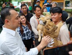 Kembangkan KBS, Wali Kota Eri Utamakan Inovasi dan Wahana Baru untuk Tarik Minat Pengunjung