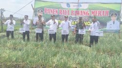 Panen Raya Bawang Merah, Sinergi Koramil Sukorame dan Pemkab Lamongan