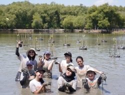 Pemkot Surabaya dan WVI Tanam 1.000 Mangrove di Kawasan Pesisir Wonorejo