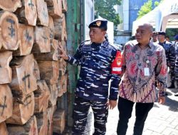 Tim Reaksi Cepat Kodaeral V Menggagalkan Upaya Penyelundupan Kayu Ilegal Yang Merugikan Negara Senilai Rp. 646.000.000 Juta Rupiah Di Pelabuhan Tanjung Perak