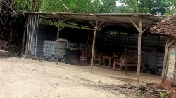 Gudang Ilegal BBM Subsidi di Bojonegoro Bebas Beroperasi, Hukum ke Mana