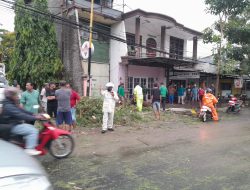 Hujan Deras, Satlantas Polres Madiun Kota Evakuasi Pohon Tumbang di Tiga Titik Kota