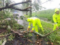 Sigap di Tengah Hujan, Polsek Magetan dan BPBD Evakuasi Pohon Tumbang di Jalur Utama Magetan – Bendo