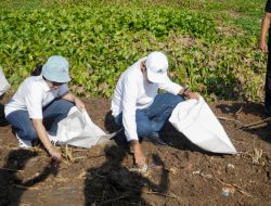 Pemkab Lamongan Fokus Bersihkan Sungai