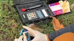 DLH Surabaya Sebut Penurunan Dissolved Oxygen di Sungai Jadi Penyebab Ikan Bermunculan di Banyu Urip dan Kalimas